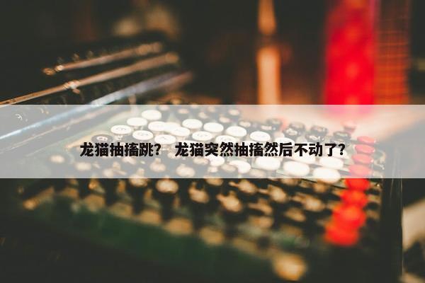龙猫抽搐跳？ 龙猫突然抽搐然后不动了？