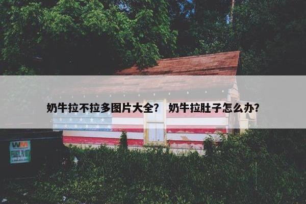 奶牛拉不拉多图片大全？ 奶牛拉肚子怎么办？