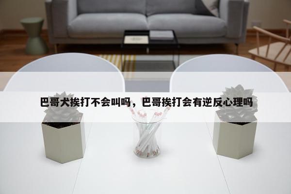 巴哥犬挨打不会叫吗，巴哥挨打会有逆反心理吗