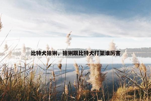 比特犬猞猁，猞猁跟比特犬打架谁厉害