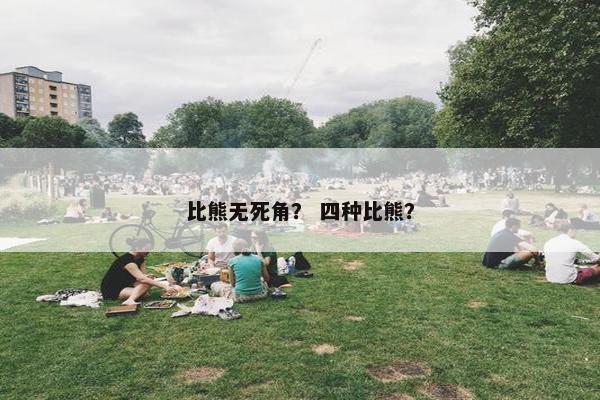 比熊无死角？ 四种比熊？