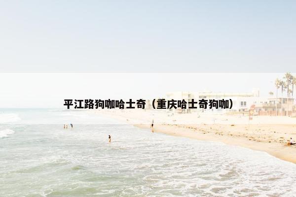 平江路狗咖哈士奇（重庆哈士奇狗咖）