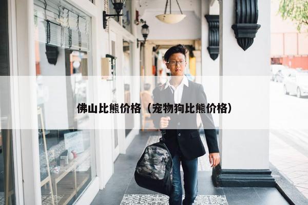 佛山比熊价格（宠物狗比熊价格）