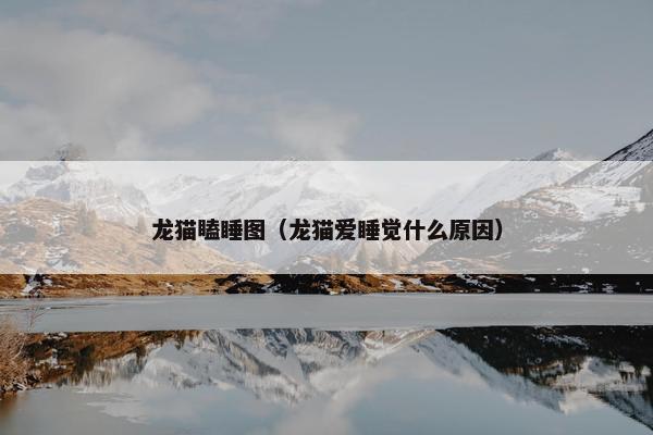 龙猫瞌睡图（龙猫爱睡觉什么原因）