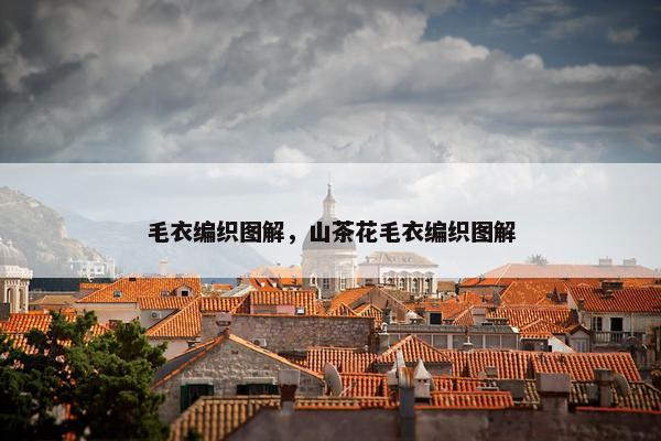 毛衣编织图解，山茶花毛衣编织图解