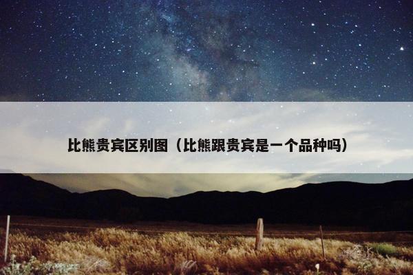 比熊贵宾区别图（比熊跟贵宾是一个品种吗）