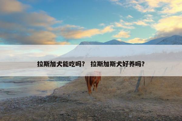 拉斯加犬能吃吗？ 拉斯加斯犬好养吗？