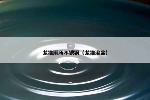 龙猫厕所不锈钢（龙猫浴盆）