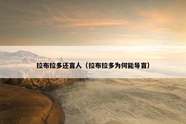 拉布拉多还盲人（拉布拉多为何能导盲）