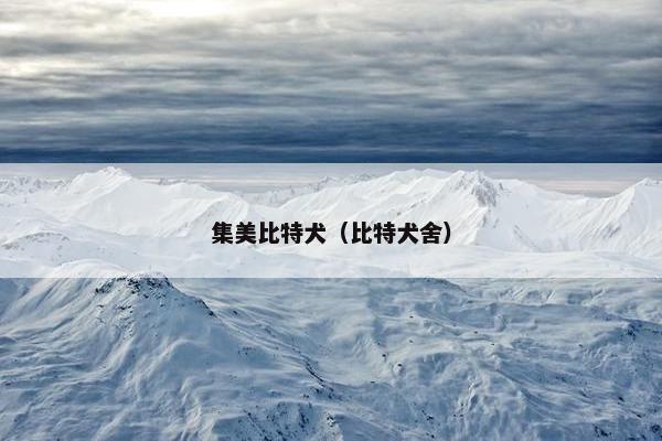 集美比特犬（比特犬舍）