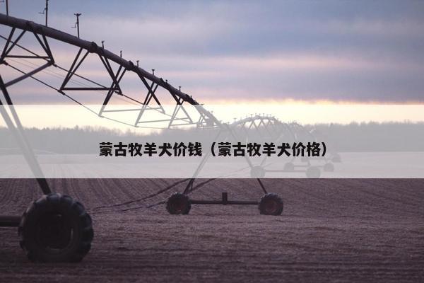 蒙古牧羊犬价钱（蒙古牧羊犬价格）