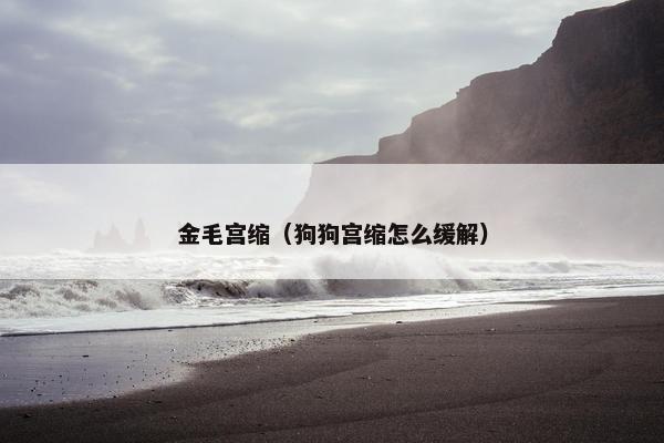 金毛宫缩（狗狗宫缩怎么缓解）