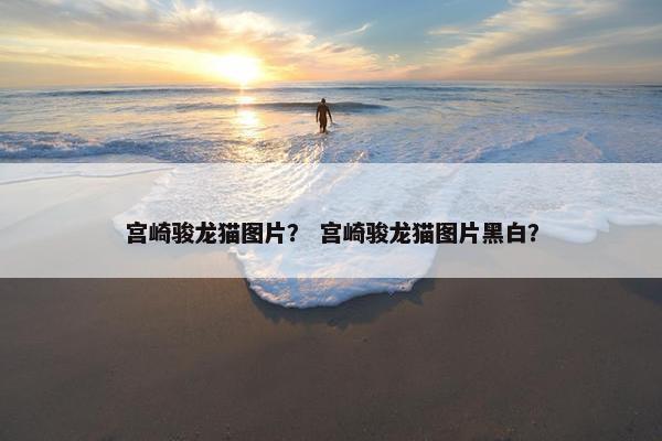 宫崎骏龙猫图片？ 宫崎骏龙猫图片黑白？