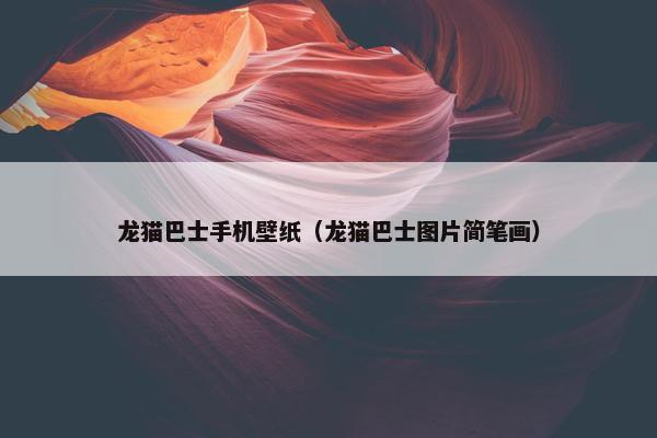 龙猫巴士手机壁纸（龙猫巴士图片简笔画）