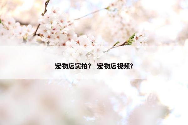 宠物店实拍？ 宠物店视频？