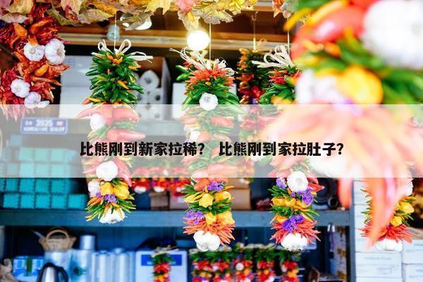 比熊刚到新家拉稀？ 比熊刚到家拉肚子？