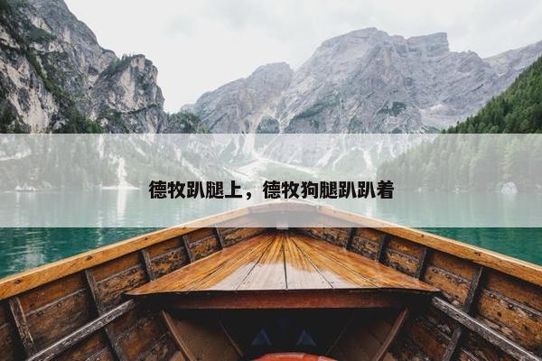 德牧趴腿上，德牧狗腿趴趴着