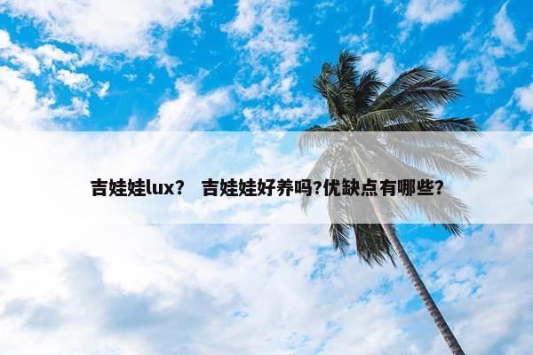 吉娃娃lux？ 吉娃娃好养吗?优缺点有哪些？