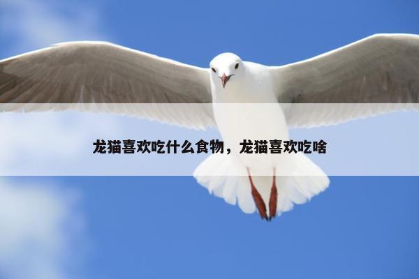 龙猫喜欢吃什么食物，龙猫喜欢吃啥