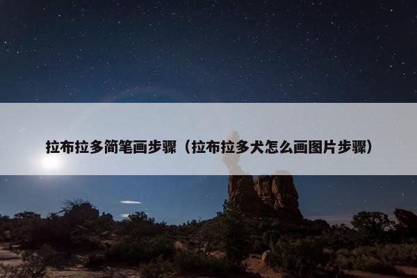 拉布拉多简笔画步骤（拉布拉多犬怎么画图片步骤）