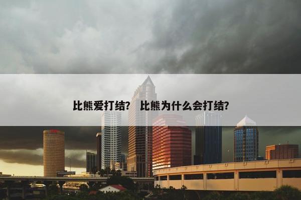 比熊爱打结？ 比熊为什么会打结？