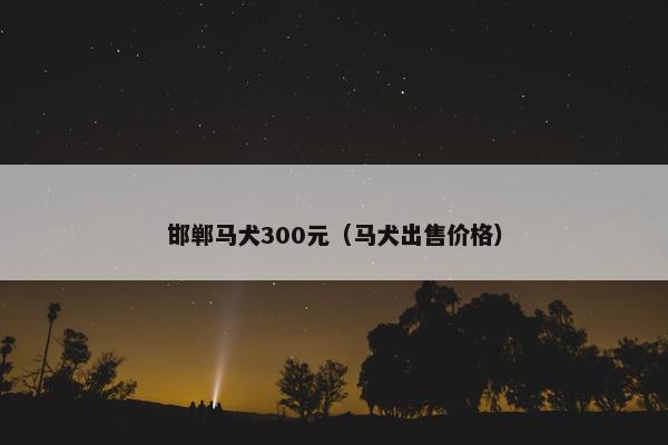 邯郸马犬300元（马犬出售价格）