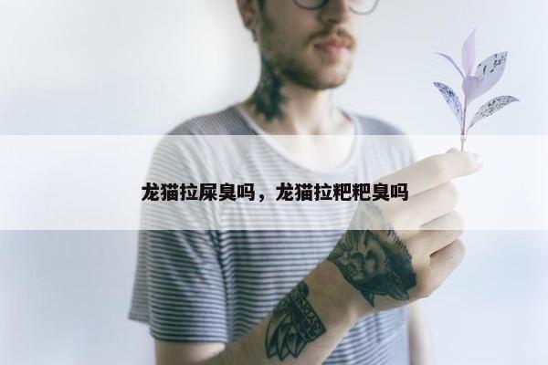 龙猫拉屎臭吗，龙猫拉粑粑臭吗