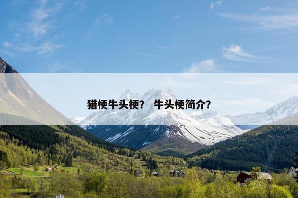 猎梗牛头梗？ 牛头梗简介？