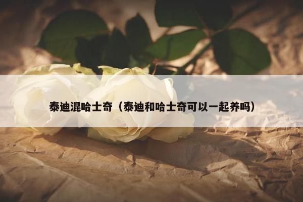 泰迪混哈士奇（泰迪和哈士奇可以一起养吗）