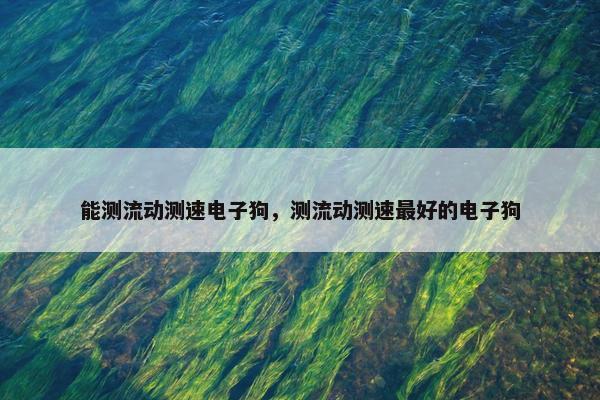 能测流动测速电子狗，测流动测速最好的电子狗