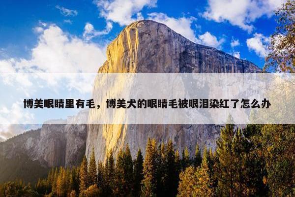 博美眼睛里有毛，博美犬的眼睛毛被眼泪染红了怎么办