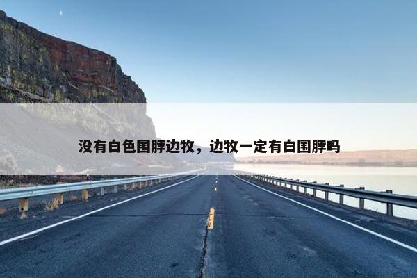 没有白色围脖边牧，边牧一定有白围脖吗