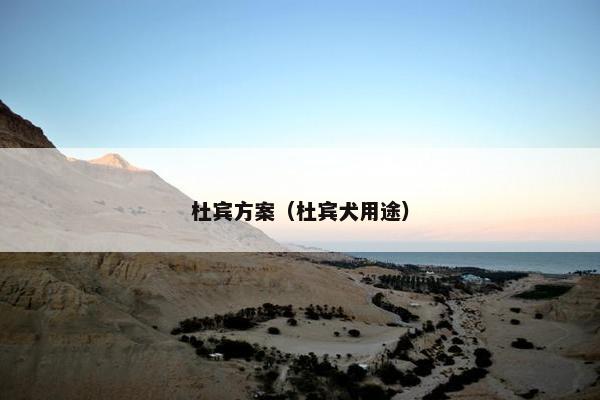 杜宾方案(杜宾犬用途) 杜宾方案(杜宾犬用途)