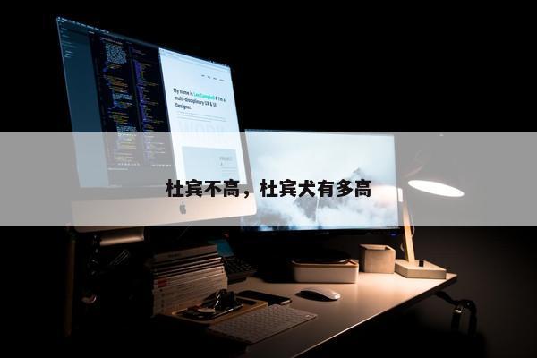 杜宾不高，杜宾犬有多高