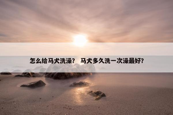 怎么给马犬洗澡？ 马犬多久洗一次澡最好？