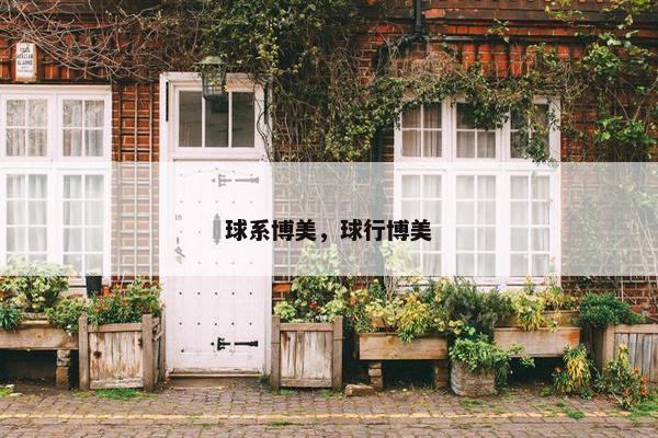 球系博美，球行博美