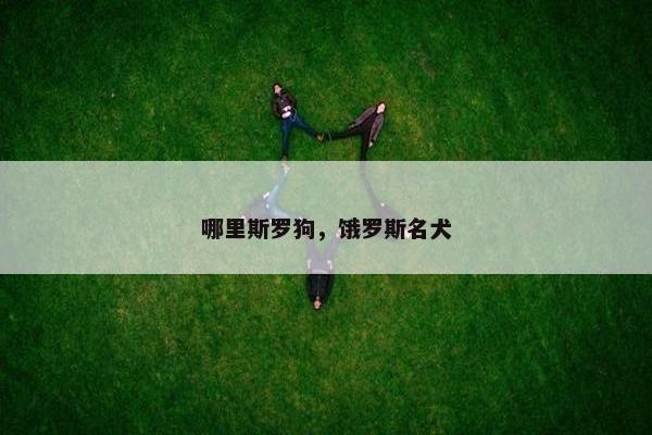 哪里斯罗狗，饿罗斯名犬