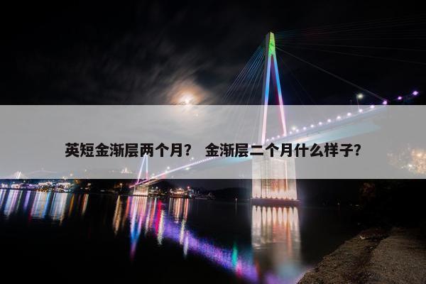 英短金渐层两个月？ 金渐层二个月什么样子？
