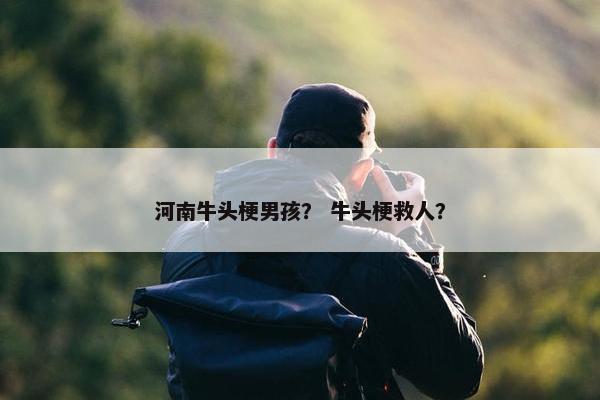 河南牛头梗男孩？ 牛头梗救人？