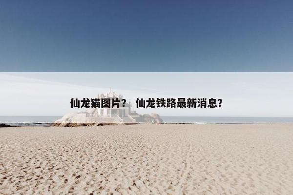 仙龙猫图片？ 仙龙铁路最新消息？