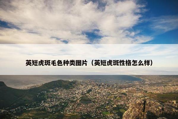 英短虎斑毛色种类图片（英短虎斑性格怎么样）