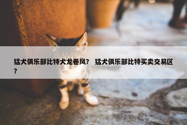 猛犬俱乐部比特犬龙卷风？ 猛犬俱乐部比特买卖交易区？