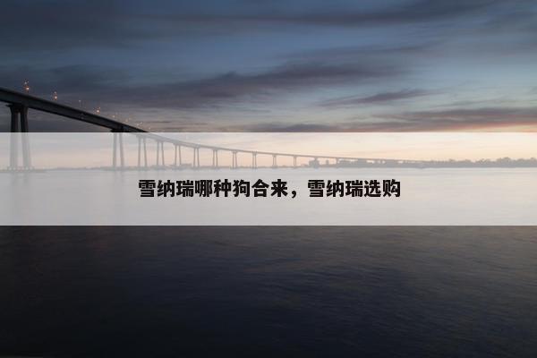 雪纳瑞哪种狗合来,雪纳瑞选购 雪纳瑞哪种狗合来,雪纳瑞选购