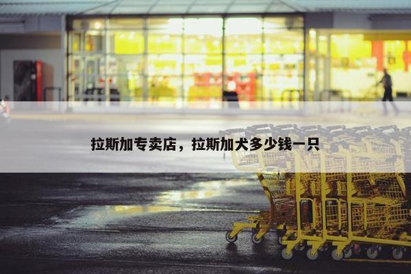 拉斯加专卖店，拉斯加犬多少钱一只