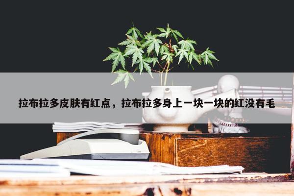 拉布拉多皮肤有红点，拉布拉多身上一块一块的红没有毛