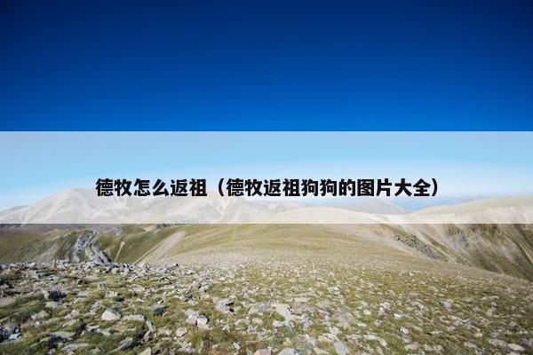 德牧怎么返祖（德牧返祖狗狗的图片大全）