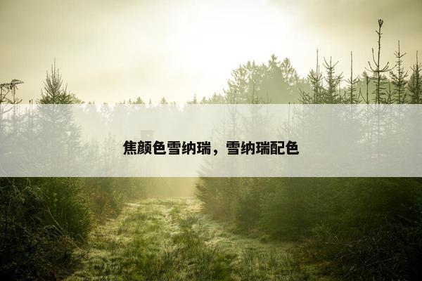 焦颜色雪纳瑞，雪纳瑞配色