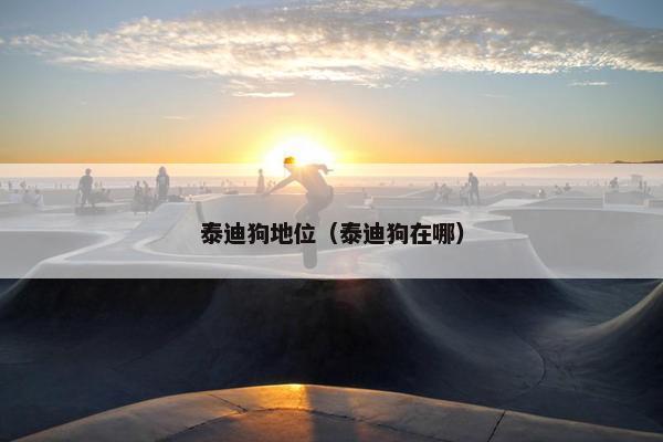 泰迪狗地位（泰迪狗在哪）