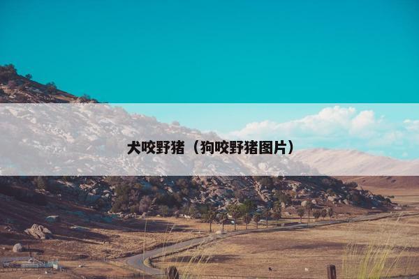 犬咬野猪（狗咬野猪图片）