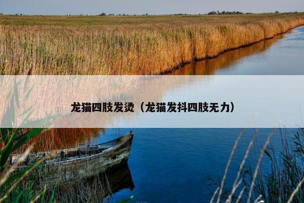 龙猫四肢发烫（龙猫发抖四肢无力）